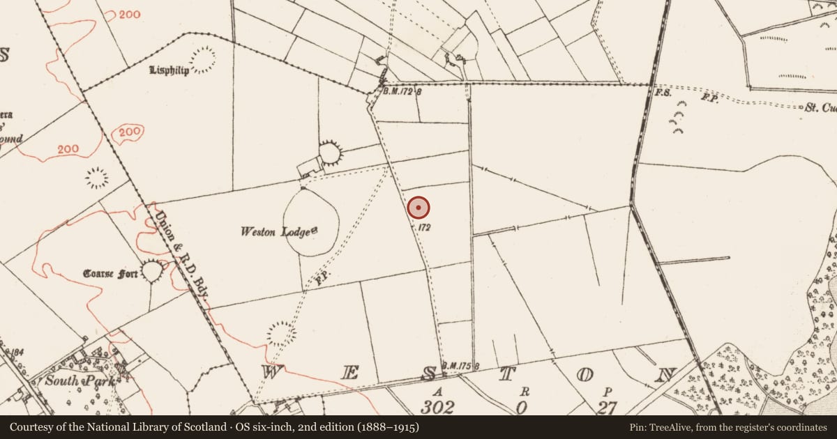 Ordnance Survey six-inch map, 2nd edition (1888–1915) covering the location of Fulacht fia, Weston, County Galway, with a pin at the register's coordinates