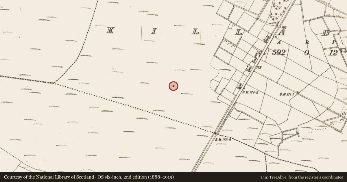 Ordnance Survey six-inch map, 2nd edition (1888–1915) covering the location of Platform - peatland, Killaderry, County Galway, with a pin at the register's coordinates
