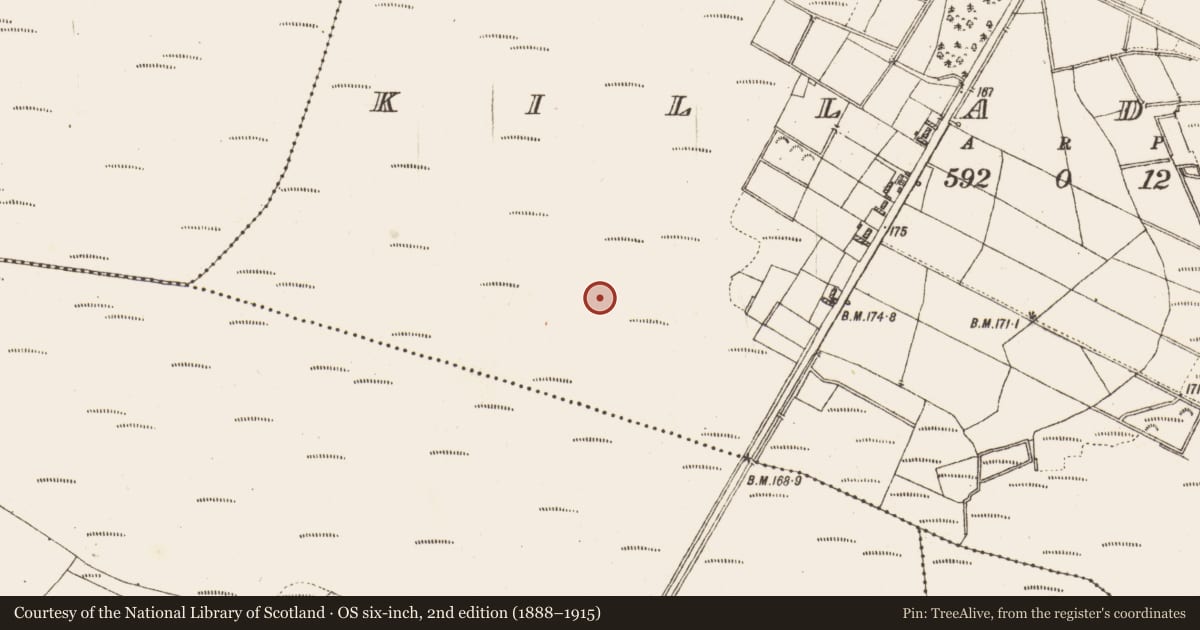 Ordnance Survey six-inch map, 2nd edition (1888–1915) covering the location of Platform - peatland, Killaderry, County Galway, with a pin at the register's coordinates