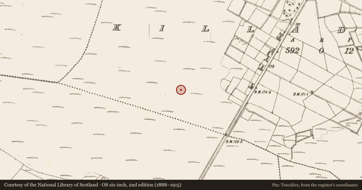 Ordnance Survey six-inch map, 2nd edition (1888–1915) covering the location of Platform - peatland, Killaderry, County Galway, with a pin at the register's coordinates