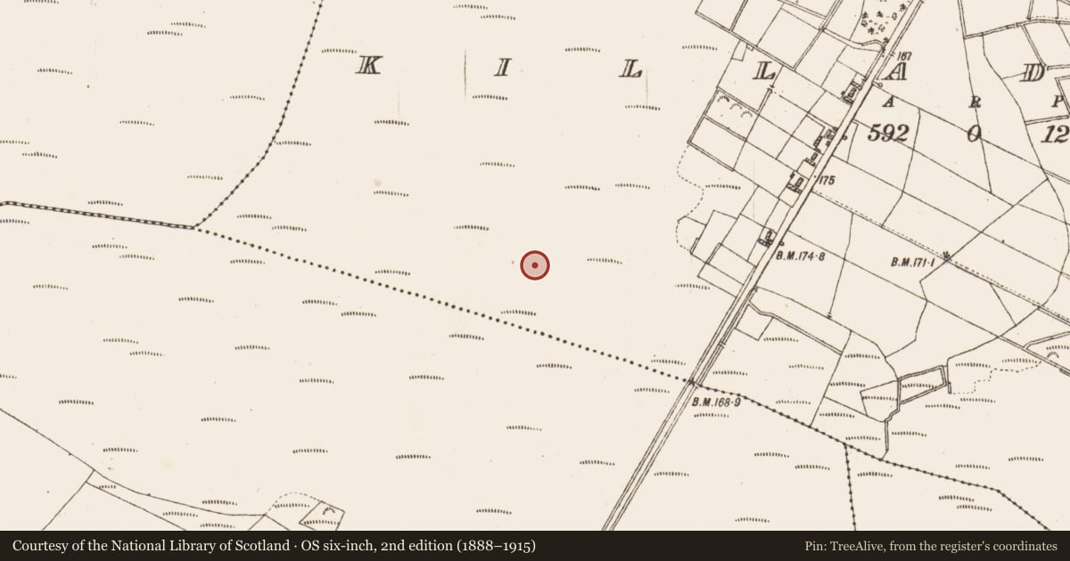 Ordnance Survey six-inch map, 2nd edition (1888–1915) covering the location of Road - class 2 togher, Killaderry, County Galway, with a pin at the register's coordinates
