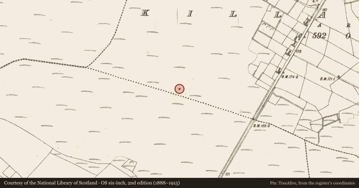 Ordnance Survey six-inch map, 2nd edition (1888–1915) covering the location of Road - class 2 togher, Killaderry, County Galway, with a pin at the register's coordinates