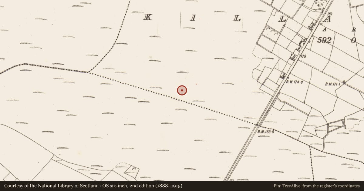 Ordnance Survey six-inch map, 2nd edition (1888–1915) covering the location of Road - class 2 togher, Killaderry, County Galway, with a pin at the register's coordinates