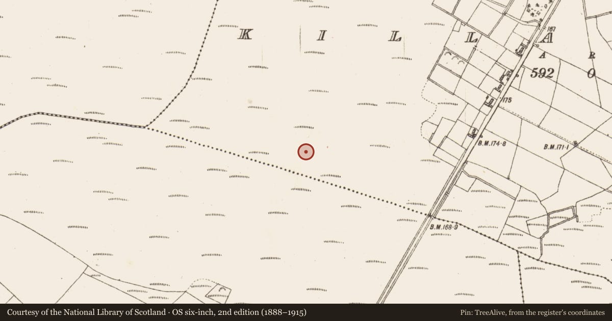 Ordnance Survey six-inch map, 2nd edition (1888–1915) covering the location of Road - class 2 togher, Killaderry, County Galway, with a pin at the register's coordinates