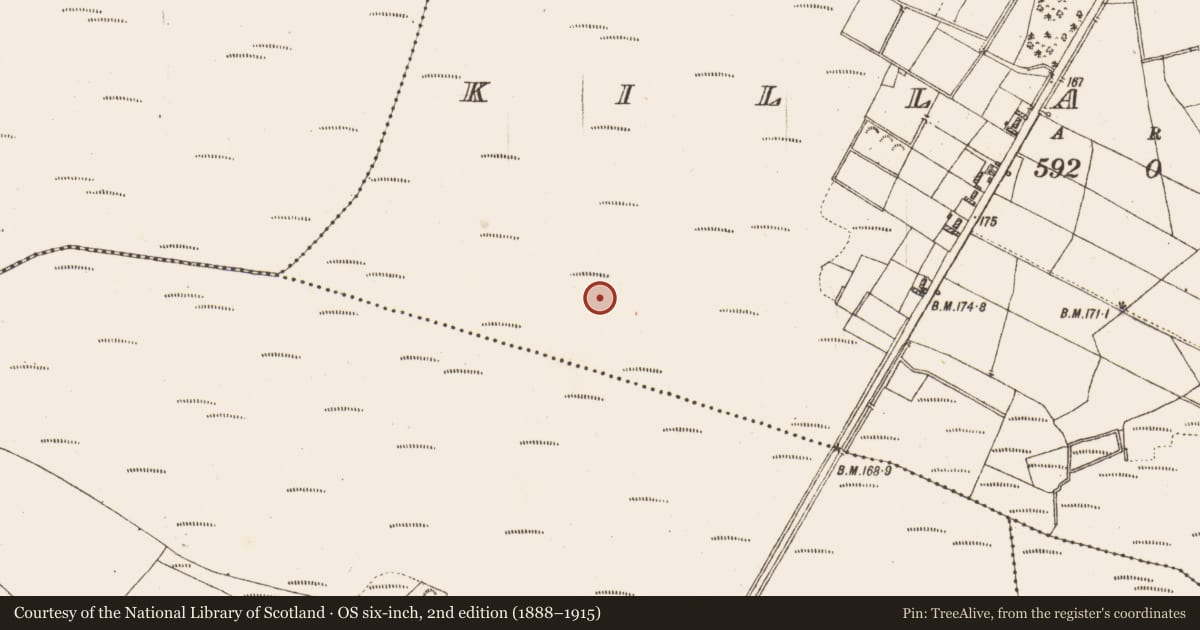Ordnance Survey six-inch map, 2nd edition (1888–1915) covering the location of Road - class 2 togher, Killaderry, County Galway, with a pin at the register's coordinates