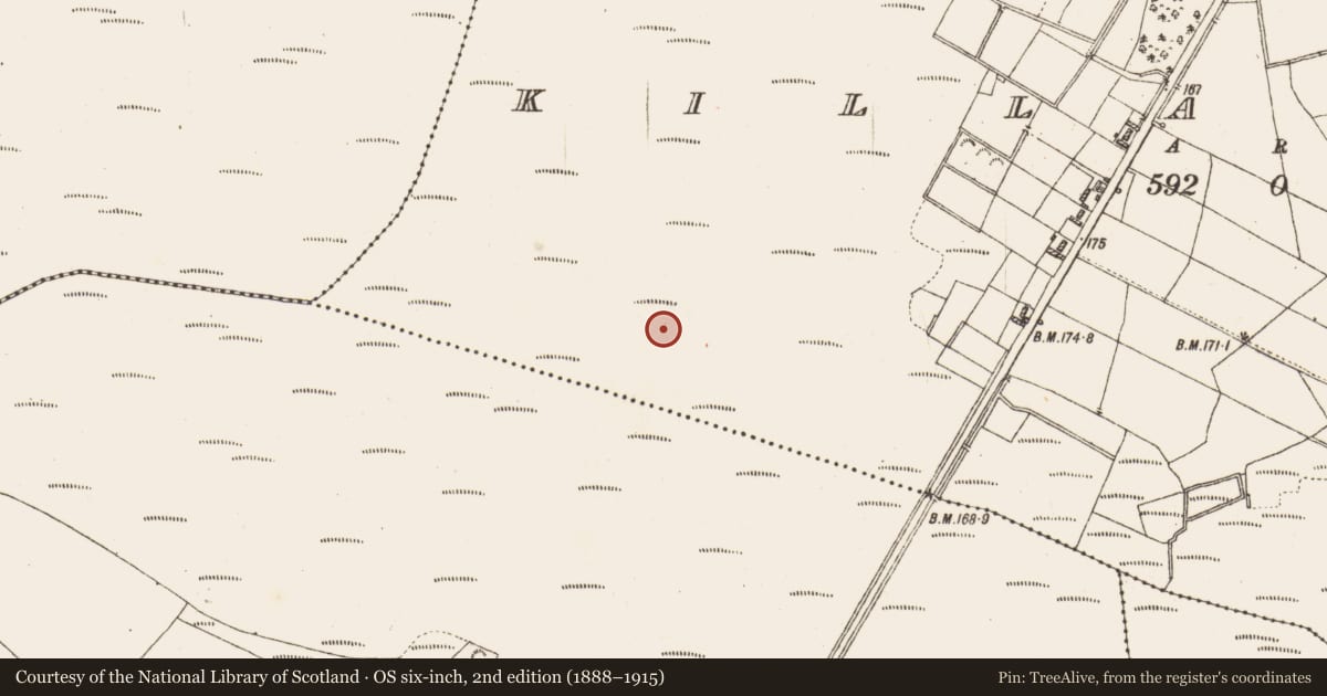 Ordnance Survey six-inch map, 2nd edition (1888–1915) covering the location of Road - class 3 togher, Killaderry, County Galway, with a pin at the register's coordinates