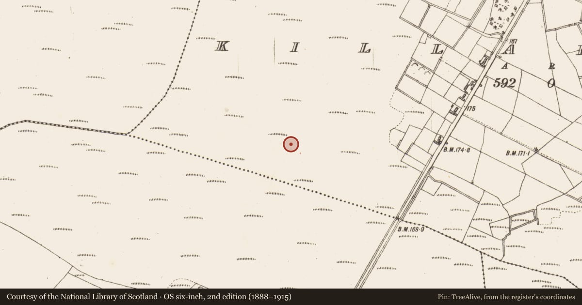Ordnance Survey six-inch map, 2nd edition (1888–1915) covering the location of Road - class 3 togher, Killaderry, County Galway, with a pin at the register's coordinates