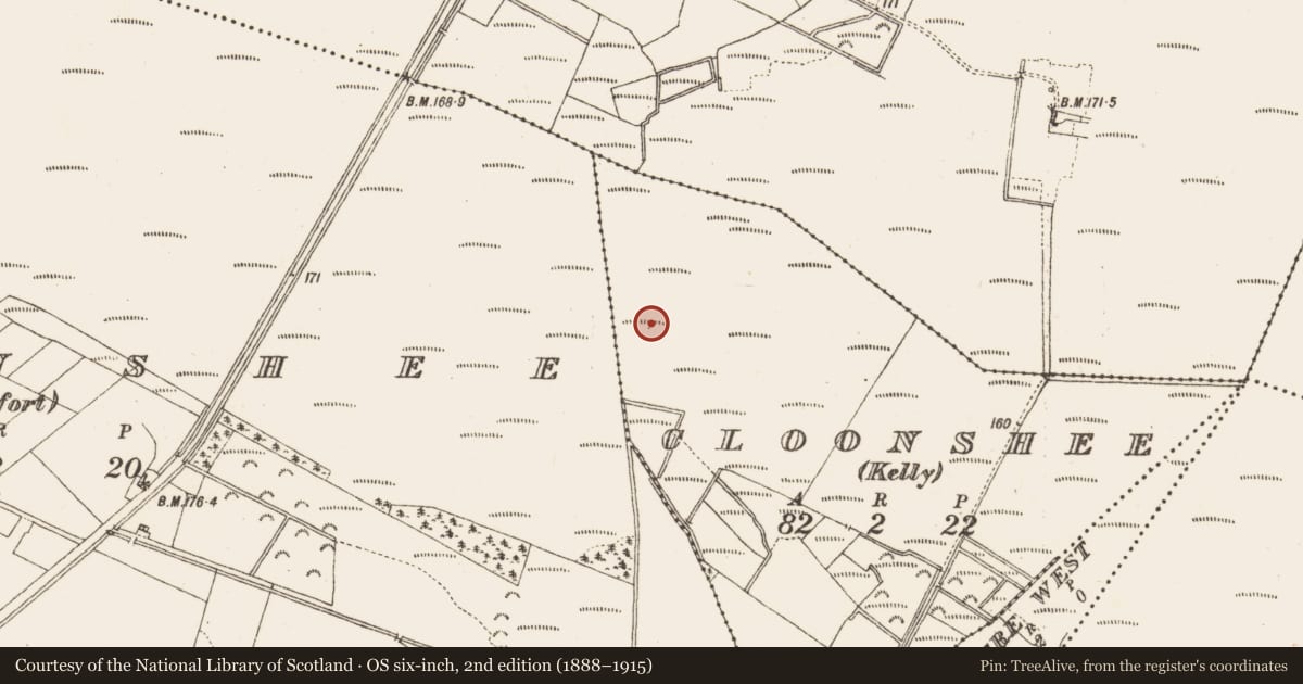 Ordnance Survey six-inch map, 2nd edition (1888–1915) covering the location of Road - class 1 togher, Cloonshee (Kelly), County Galway, with a pin at the register's coordinates