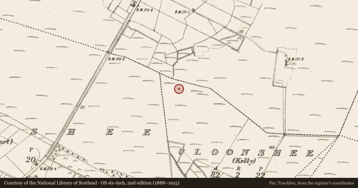 Ordnance Survey six-inch map, 2nd edition (1888–1915) covering the location of Platform - peatland, Cloonshee (Kelly), County Galway, with a pin at the register's coordinates