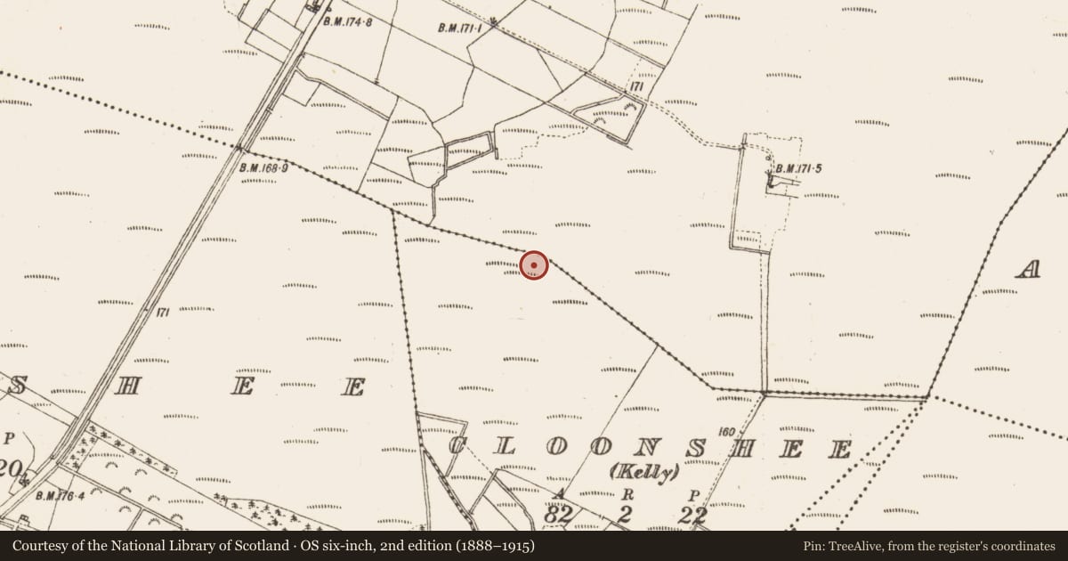 Ordnance Survey six-inch map, 2nd edition (1888–1915) covering the location of Road - class 2 togher, Cloonshee (Kelly), County Galway, with a pin at the register's coordinates