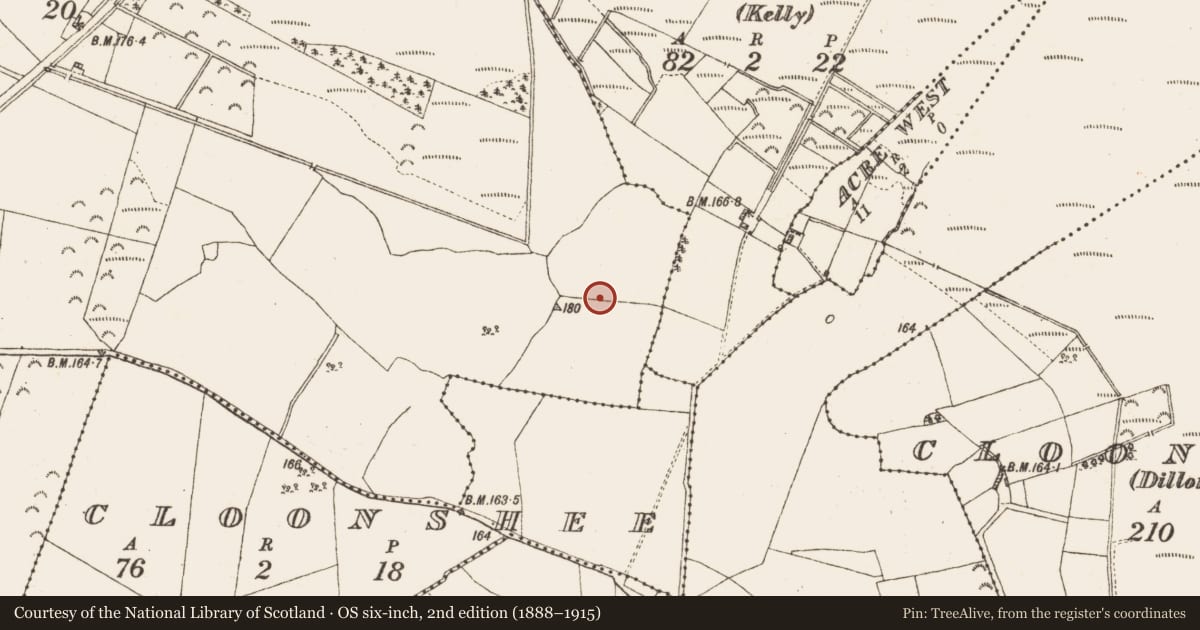 Ordnance Survey six-inch map, 2nd edition (1888–1915) covering the location of Platform - peatland, Cloonshee (Rochfort), County Galway, with a pin at the register's coordinates