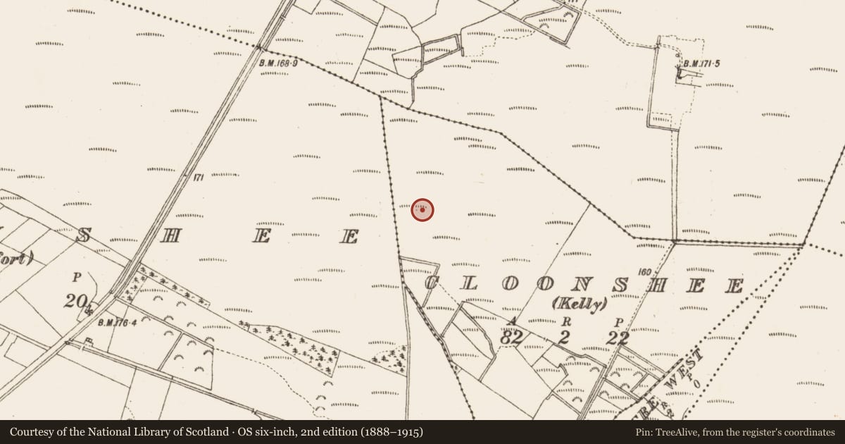 Ordnance Survey six-inch map, 2nd edition (1888–1915) covering the location of Road - class 2 togher, Cloonshee (Kelly), County Galway, with a pin at the register's coordinates