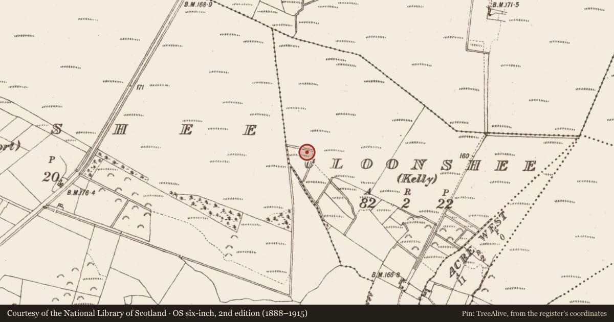 Ordnance Survey six-inch map, 2nd edition (1888–1915) covering the location of Road - class 2 togher, Cloonshee (Kelly), County Galway, with a pin at the register's coordinates