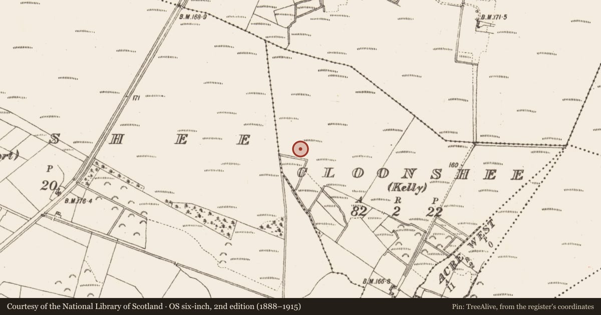 Ordnance Survey six-inch map, 2nd edition (1888–1915) covering the location of Road - class 2 togher, Cloonshee (Kelly), County Galway, with a pin at the register's coordinates