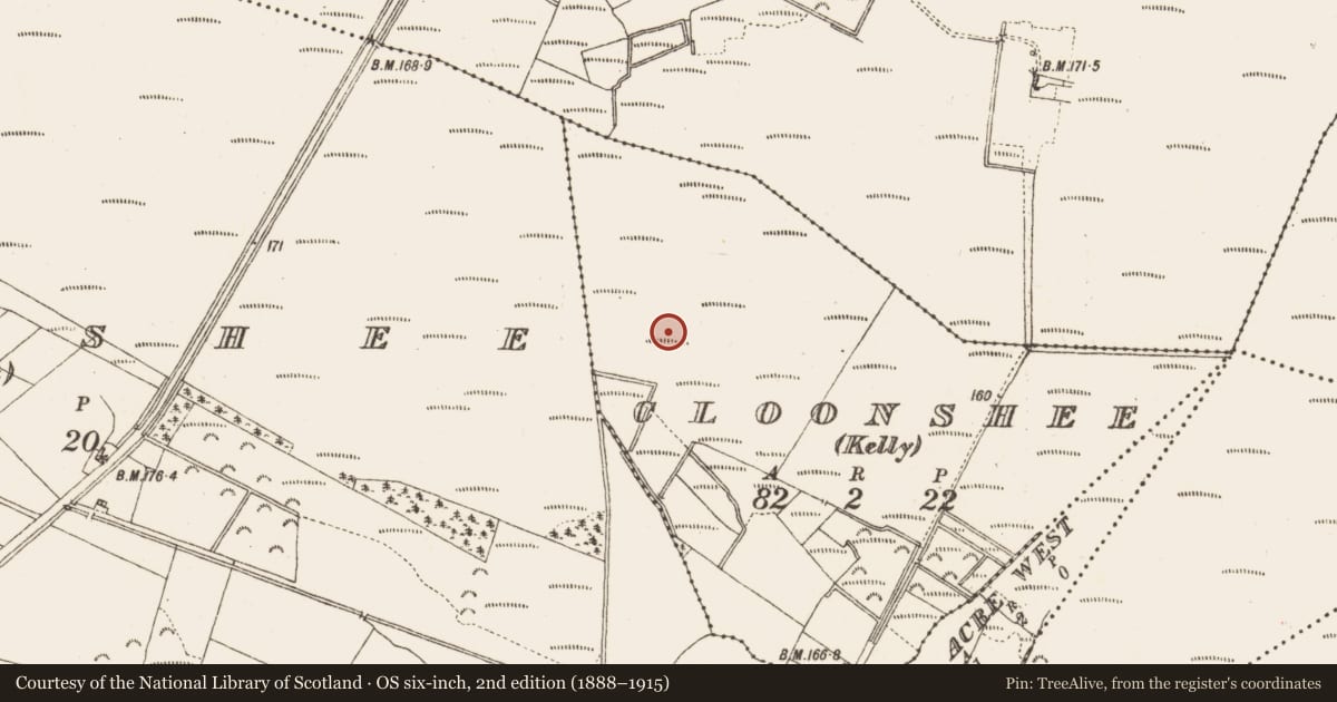 Ordnance Survey six-inch map, 2nd edition (1888–1915) covering the location of Road - class 2 togher, Cloonshee (Kelly), County Galway, with a pin at the register's coordinates