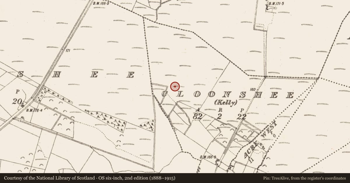 Ordnance Survey six-inch map, 2nd edition (1888–1915) covering the location of Platform - peatland, Cloonshee (Kelly), County Galway, with a pin at the register's coordinates