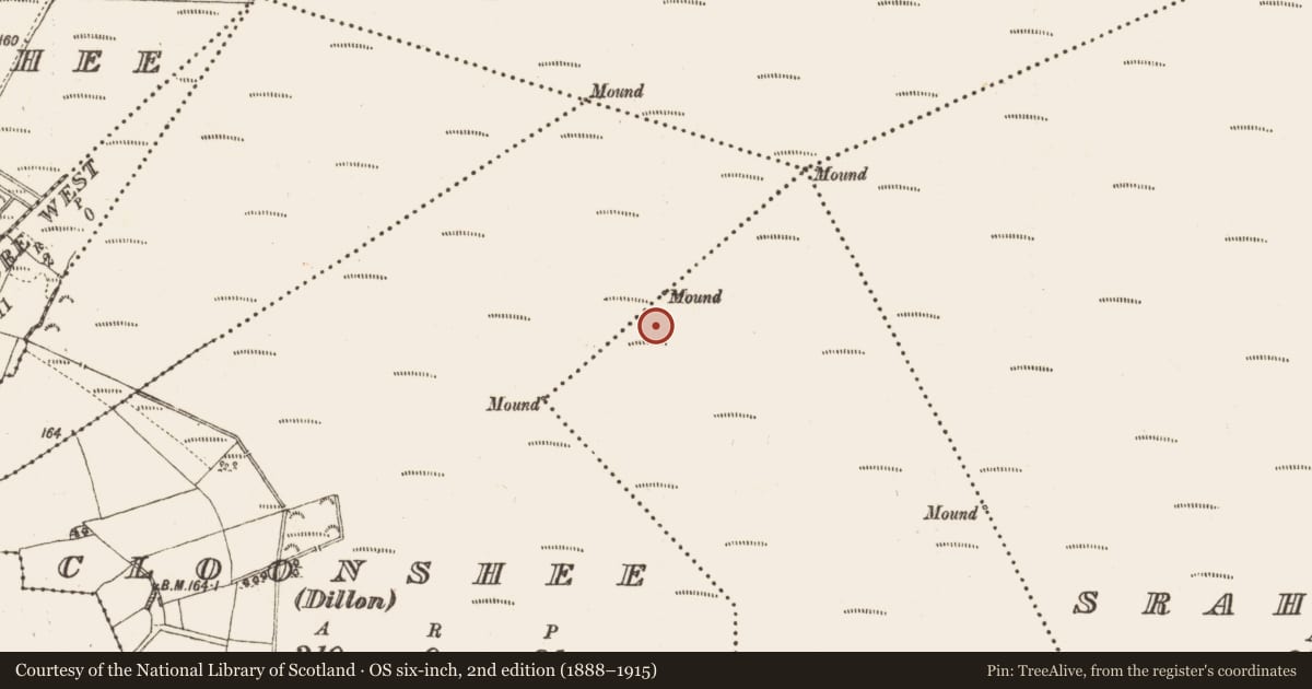 Ordnance Survey six-inch map, 2nd edition (1888–1915) covering the location of Road - class 1 togher, Cloonshee (Dillon), Lissyegan (Mahon), County Galway, with a pin at the register's coordinates