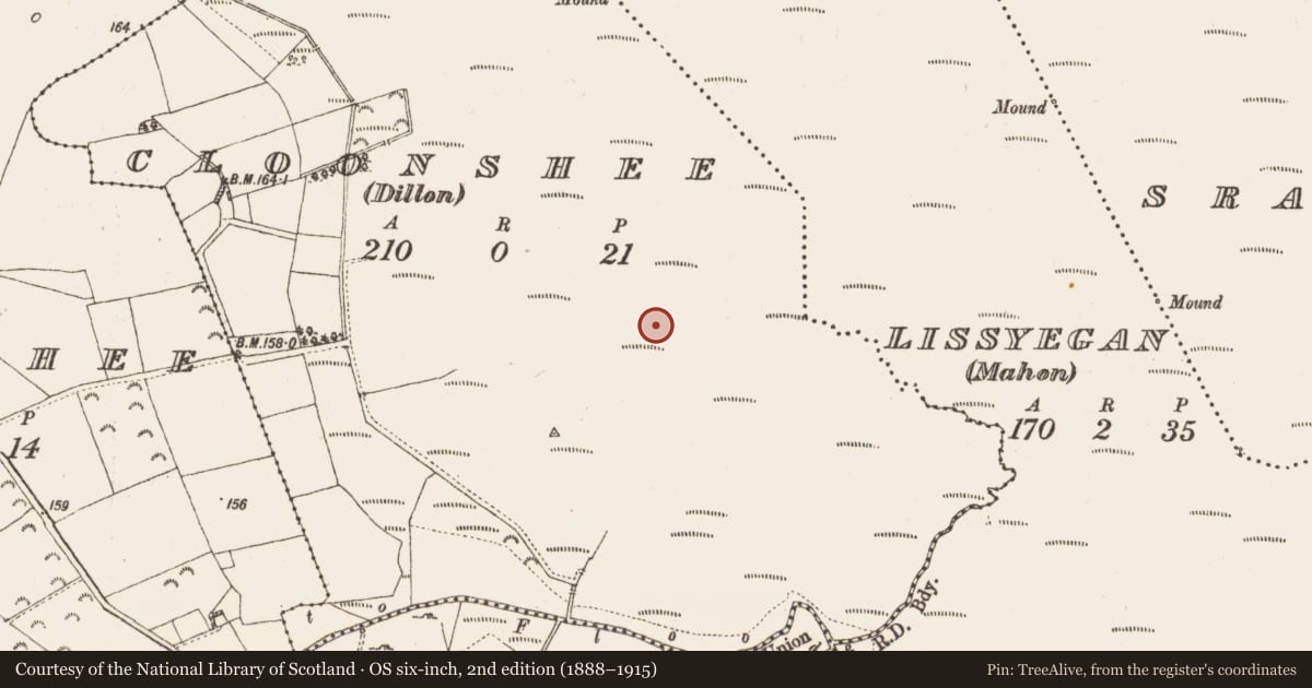 Ordnance Survey six-inch map, 2nd edition (1888–1915) covering the location of Road - class 1 togher, Cloonshee (Dillon), County Galway, with a pin at the register's coordinates