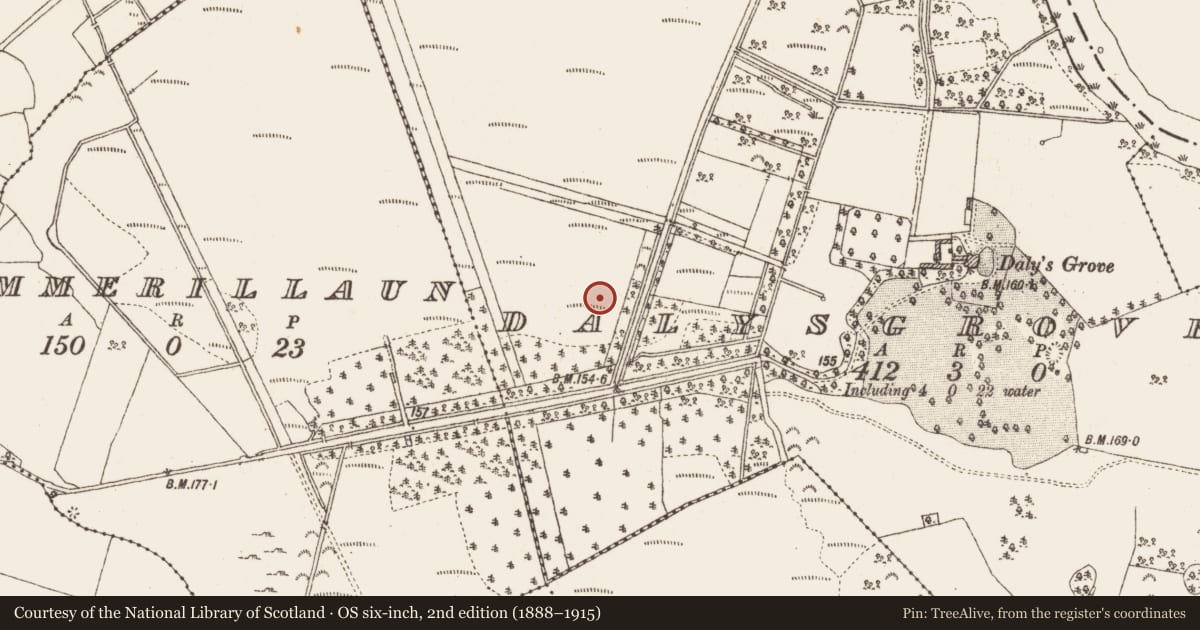 Ordnance Survey six-inch map, 2nd edition (1888–1915) covering the location of Platform - peatland, Dalysgrove, County Galway, with a pin at the register's coordinates