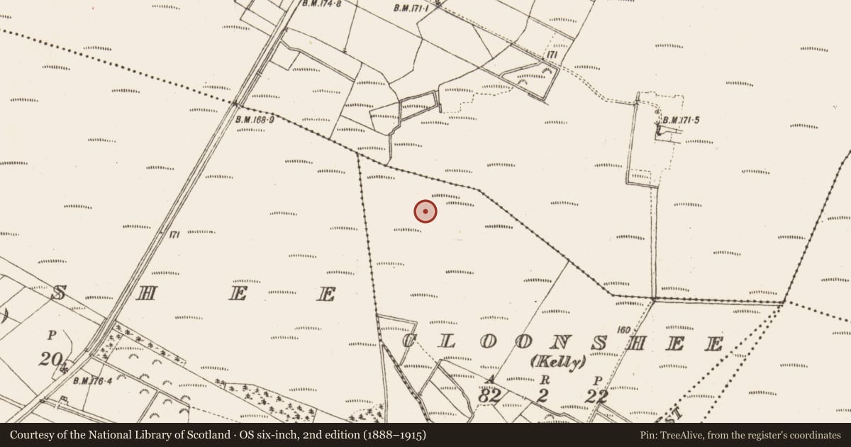 Ordnance Survey six-inch map, 2nd edition (1888–1915) covering the location of Road - class 2 togher, Cloonshee (Kelly), County Galway, with a pin at the register's coordinates