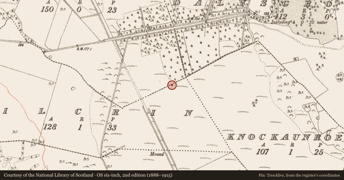 Ordnance Survey six-inch map, 2nd edition (1888–1915) covering the location of Platform - peatland, Kilcrin, County Galway, with a pin at the register's coordinates