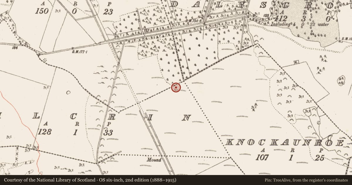 Ordnance Survey six-inch map, 2nd edition (1888–1915) covering the location of Road - class 2 togher, Kilcrin, County Galway, with a pin at the register's coordinates