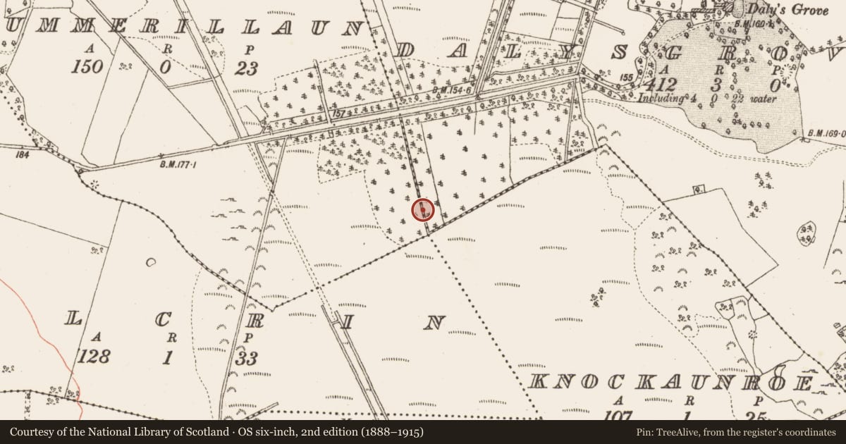 Ordnance Survey six-inch map, 2nd edition (1888–1915) covering the location of Road - class 2 togher, Dalysgrove, Tummerillaun, County Galway, with a pin at the register's coordinates