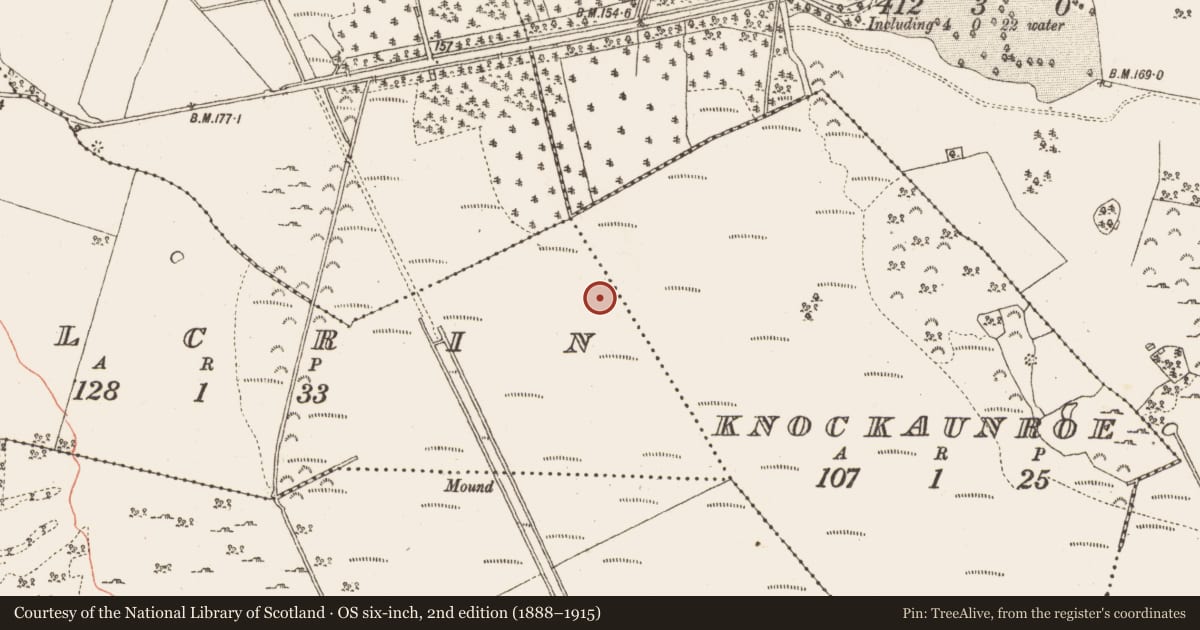 Ordnance Survey six-inch map, 2nd edition (1888–1915) covering the location of Platform - peatland, Kilcrin, County Galway, with a pin at the register's coordinates