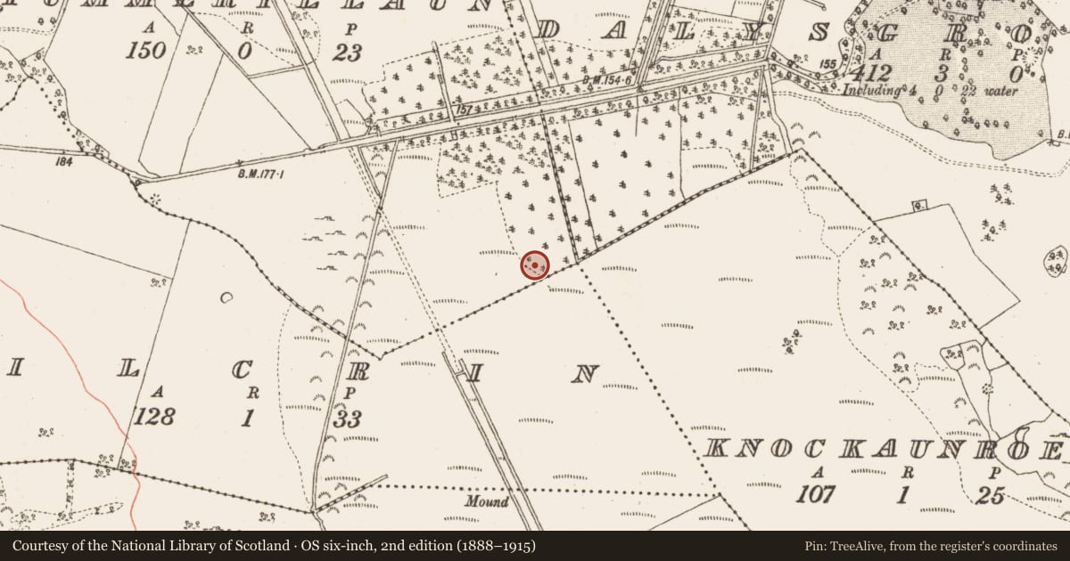 Ordnance Survey six-inch map, 2nd edition (1888–1915) covering the location of Platform - peatland, Tummerillaun, County Galway, with a pin at the register's coordinates