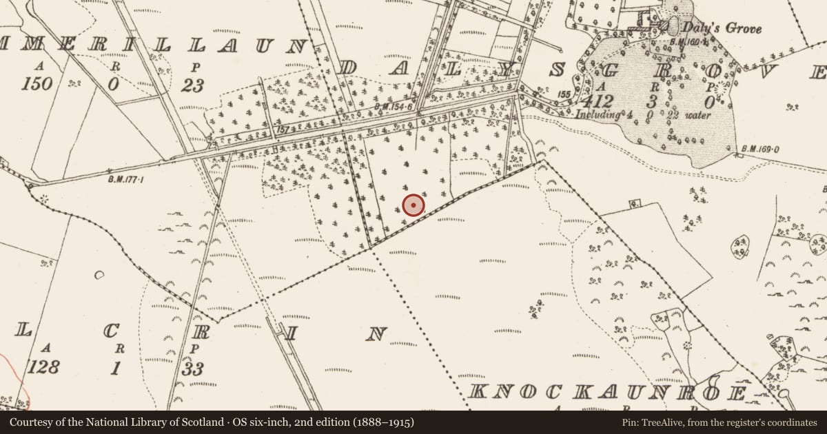 Ordnance Survey six-inch map, 2nd edition (1888–1915) covering the location of Platform - peatland, Dalysgrove, County Galway, with a pin at the register's coordinates