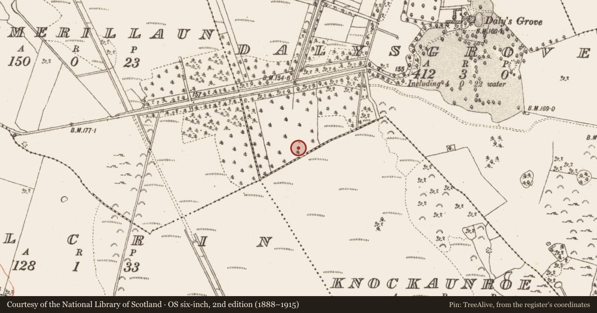 Ordnance Survey six-inch map, 2nd edition (1888–1915) covering the location of Platform - peatland, Dalysgrove, County Galway, with a pin at the register's coordinates