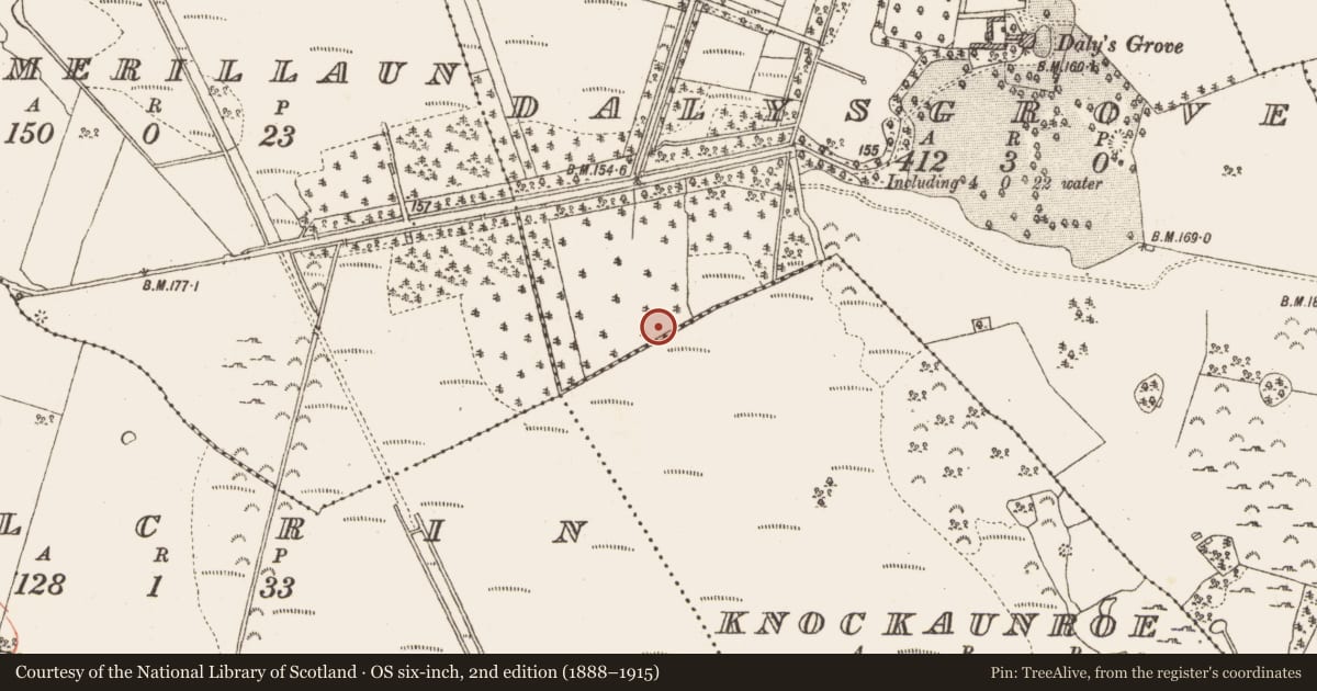 Ordnance Survey six-inch map, 2nd edition (1888–1915) covering the location of Platform - peatland, Dalysgrove, County Galway, with a pin at the register's coordinates