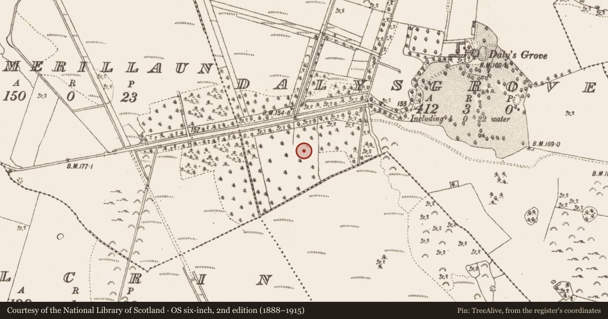 Ordnance Survey six-inch map, 2nd edition (1888–1915) covering the location of Road - unclassified togher, Dalysgrove, County Galway, with a pin at the register's coordinates