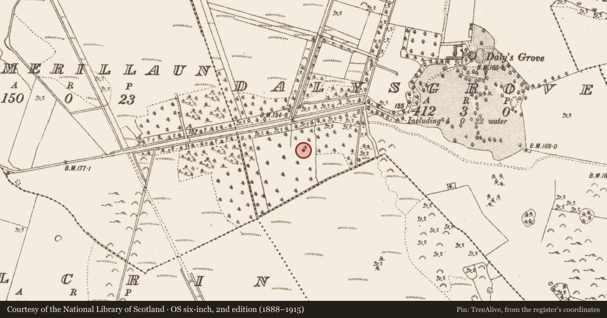 Ordnance Survey six-inch map, 2nd edition (1888–1915) covering the location of Platform - peatland, Dalysgrove, County Galway, with a pin at the register's coordinates