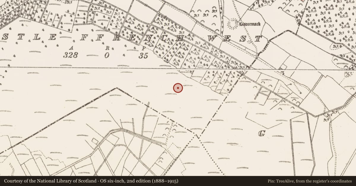 Ordnance Survey six-inch map, 2nd edition (1888–1915) covering the location of Road - class 3 togher, Castle Ffrench West, County Galway, with a pin at the register's coordinates