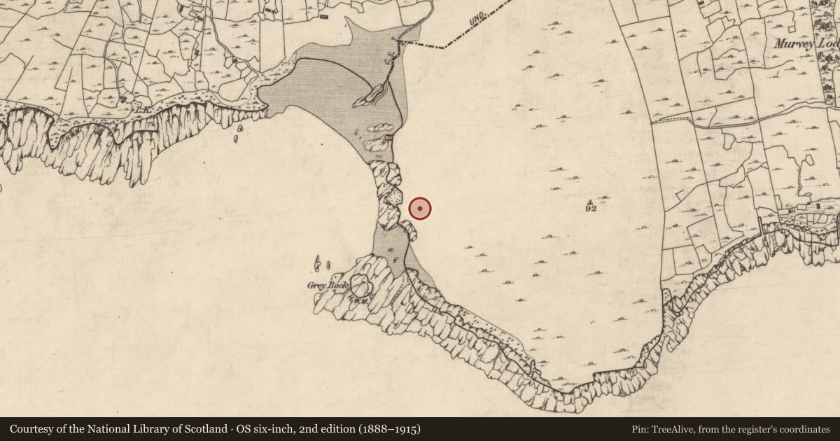 Ordnance Survey six-inch map, 2nd edition (1888–1915) covering the location of Midden, Murvey, County Galway, with a pin at the register's coordinates
