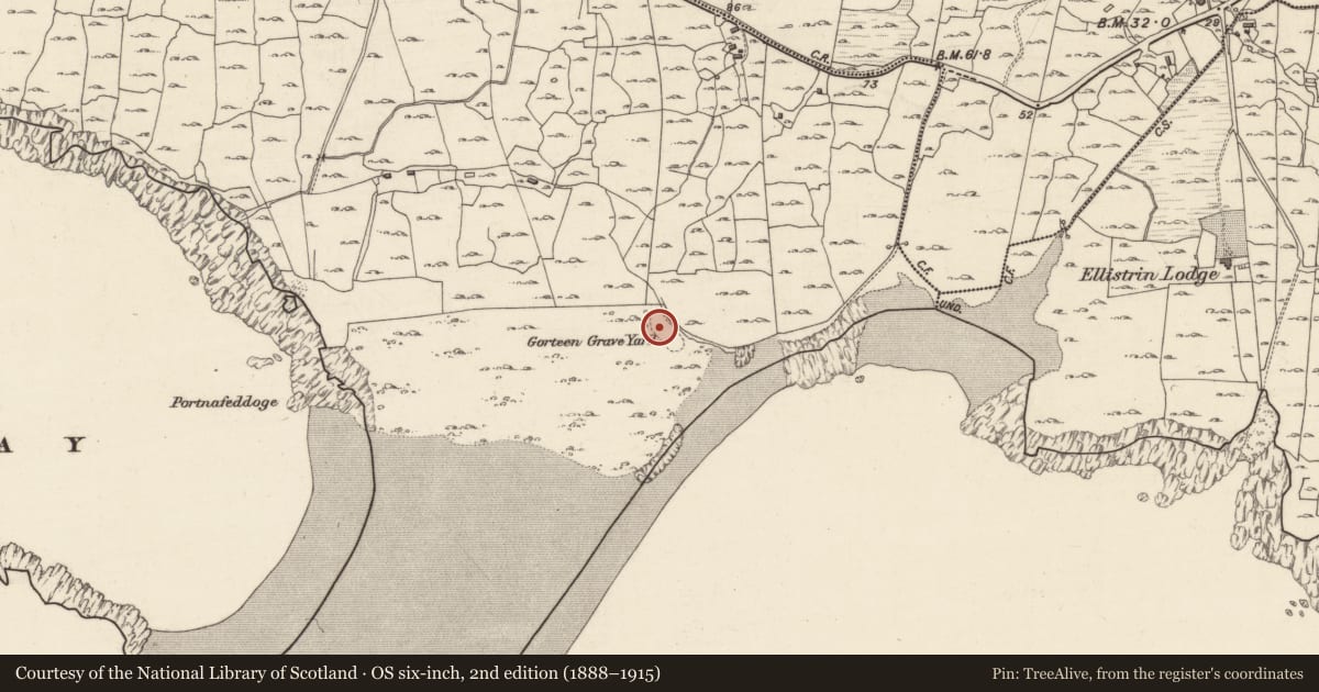 Ordnance Survey six-inch map, 2nd edition (1888–1915) covering the location of Graveyard, Iorras Beag Thiar, County Galway, with a pin at the register's coordinates