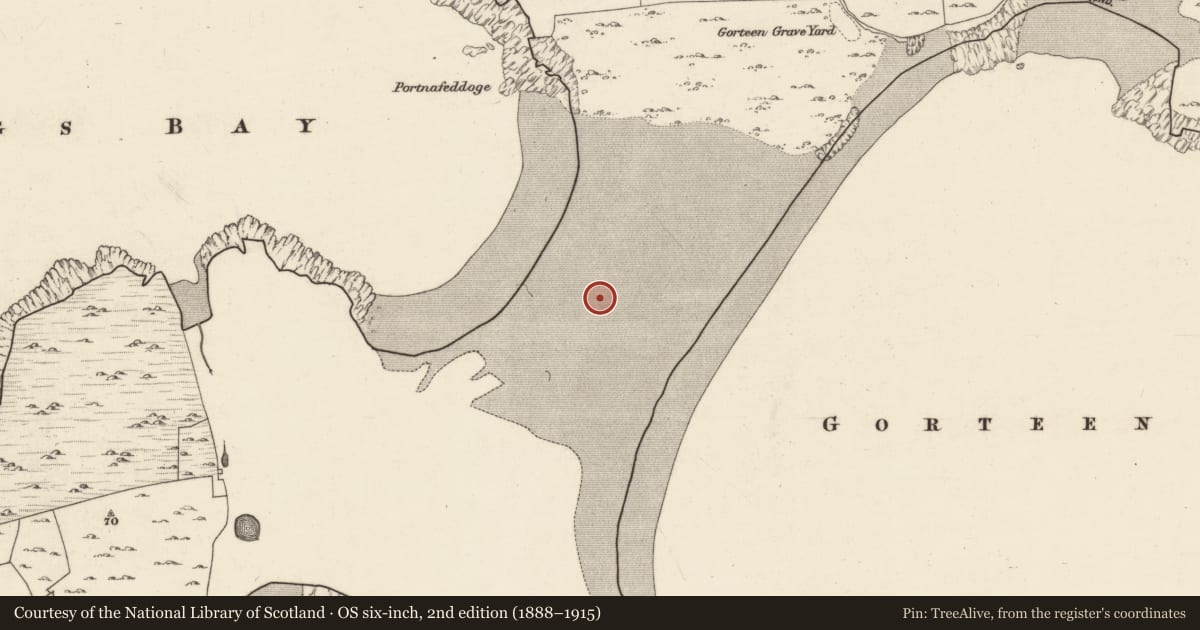 Ordnance Survey six-inch map, 2nd edition (1888–1915) covering the location of Midden, Iorras Beag Thiar, County Galway, with a pin at the register's coordinates