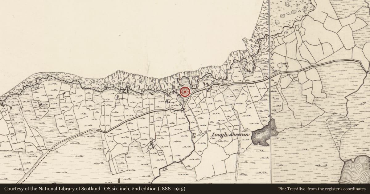 Ordnance Survey six-inch map, 2nd edition (1888–1915) covering the location of Children's burial ground, Glinsce, County Galway, with a pin at the register's coordinates