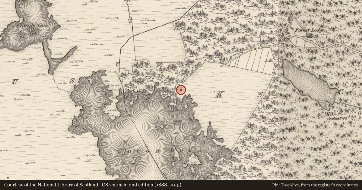 Ordnance Survey six-inch map, 2nd edition (1888–1915) covering the location of Road - gravel/stone trackway - peatland, An Cnoc Buí, County Galway, with a pin at the register's coordinates