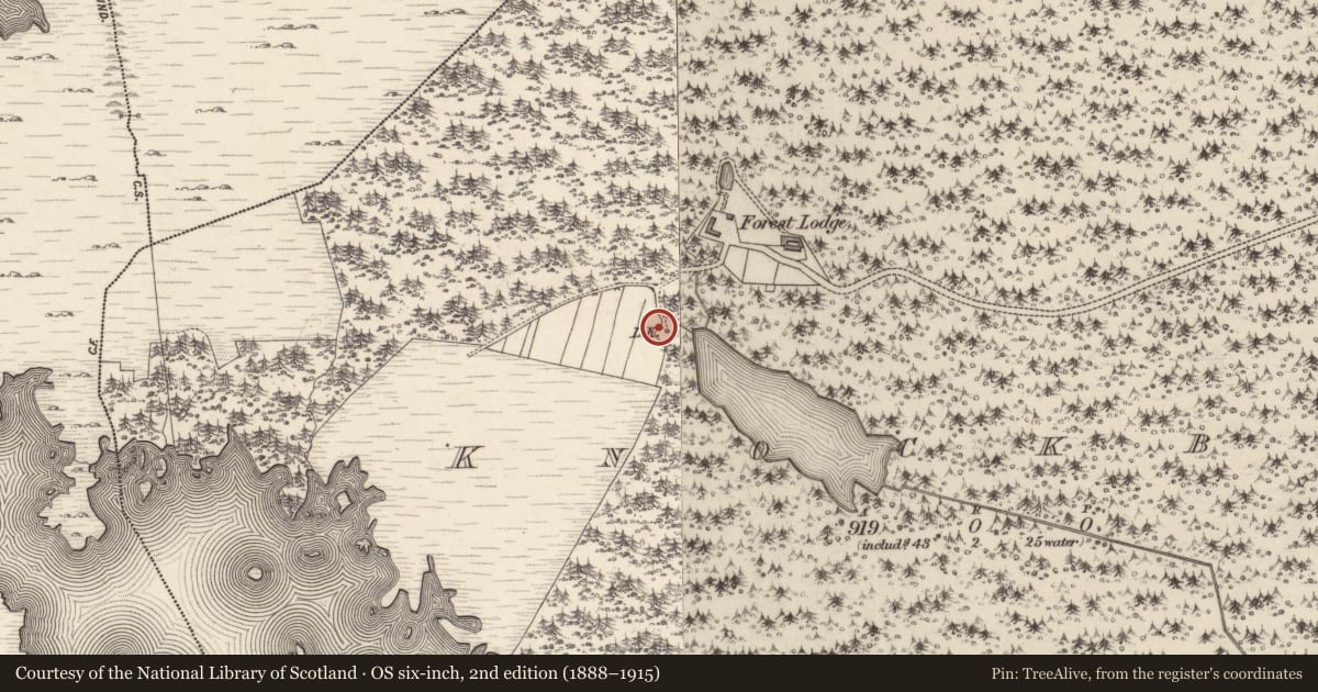 Ordnance Survey six-inch map, 2nd edition (1888–1915) covering the location of Kiln - lime, An Cnoc Buí, County Galway, with a pin at the register's coordinates