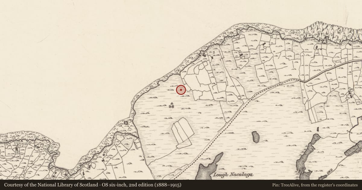 Ordnance Survey six-inch map, 2nd edition (1888–1915) covering the location of Ritual site - holy well, Leitreach Ard, County Galway, with a pin at the register's coordinates