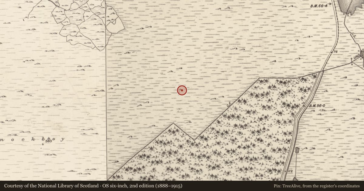 Ordnance Survey six-inch map, 2nd edition (1888–1915) covering the location of Ritual site - holy well, Glinsce, County Galway, with a pin at the register's coordinates