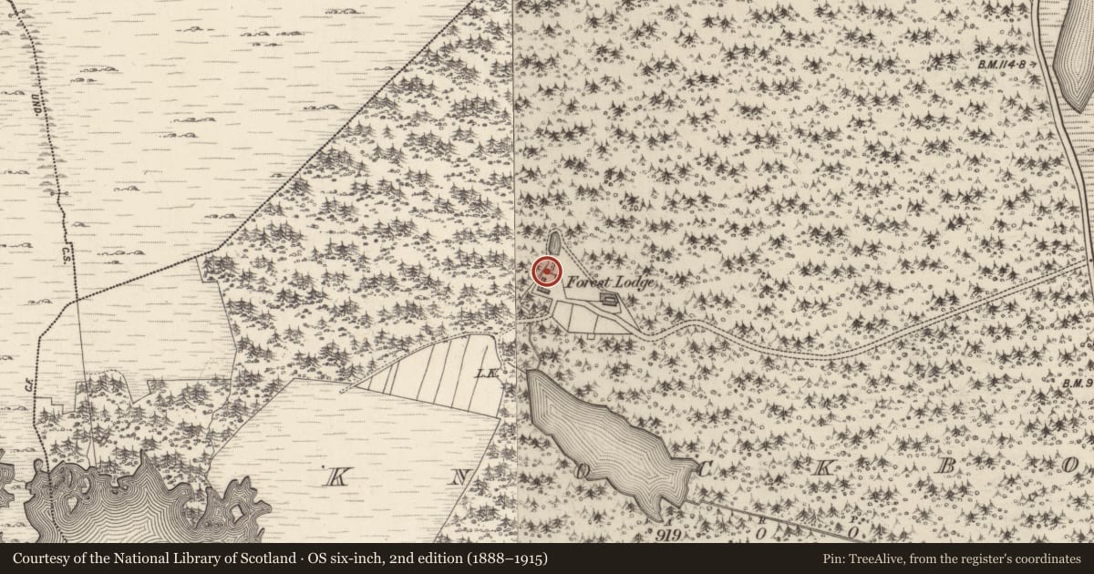 Ordnance Survey six-inch map, 2nd edition (1888–1915) covering the location of Memorial stone, An Cnoc Buí, County Galway, with a pin at the register's coordinates