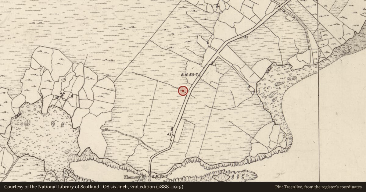 Ordnance Survey six-inch map, 2nd edition (1888–1915) covering the location of Kiln - lime, Loch Conaortha, County Galway, with a pin at the register's coordinates