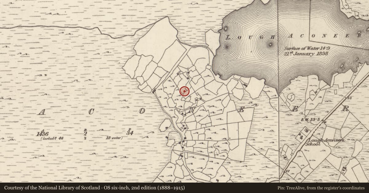Ordnance Survey six-inch map, 2nd edition (1888–1915) covering the location of Kiln - corn-drying, Loch Conaortha, County Galway, with a pin at the register's coordinates