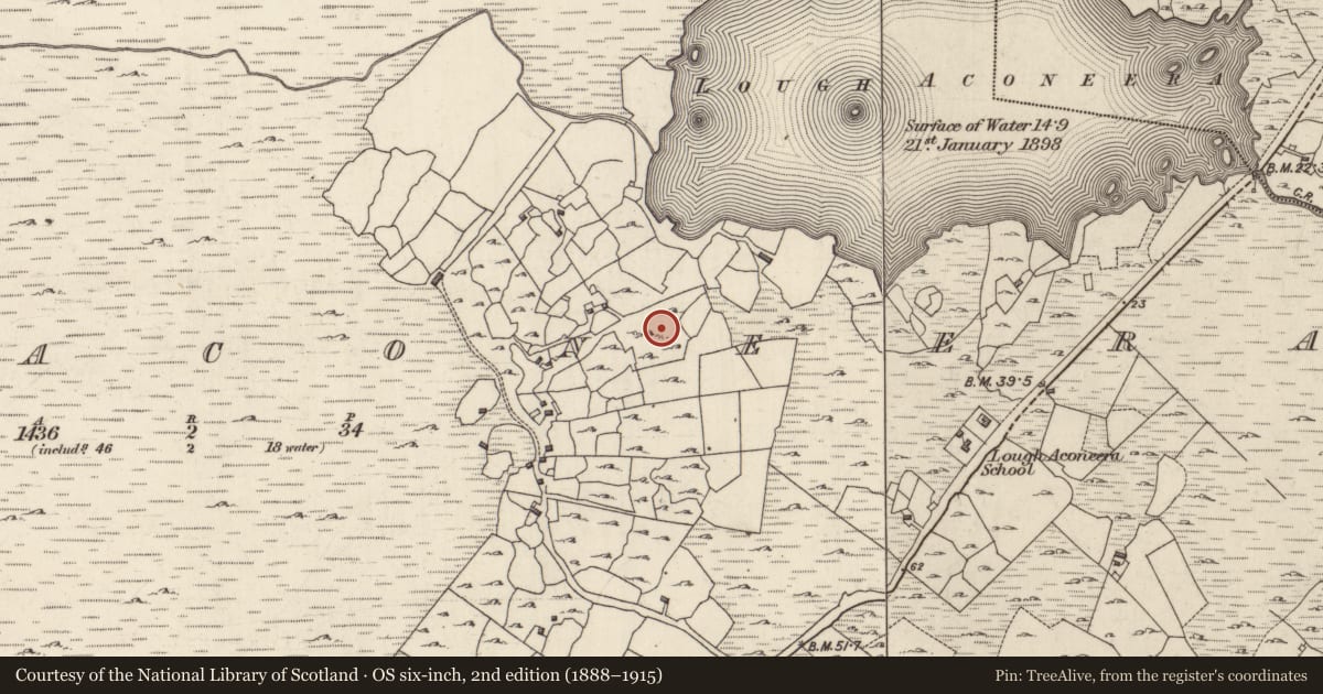 Ordnance Survey six-inch map, 2nd edition (1888–1915) covering the location of Maltings, Loch Conaortha, County Galway, with a pin at the register's coordinates