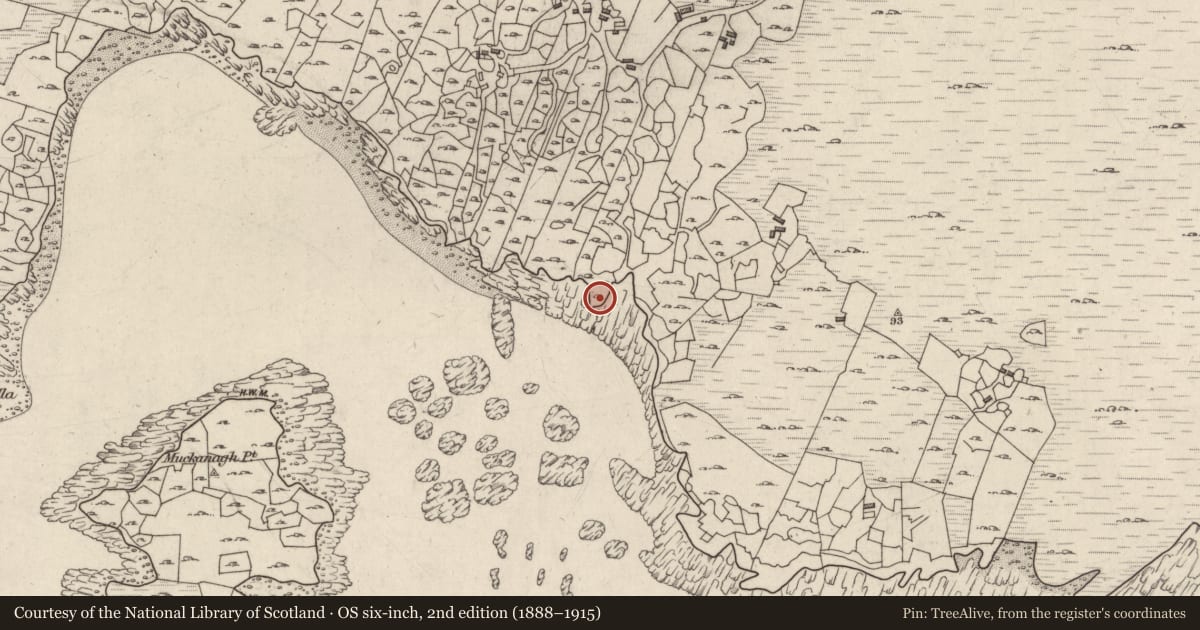 Ordnance Survey six-inch map, 2nd edition (1888–1915) covering the location of Children's burial ground, Camas Íochtair, County Galway, with a pin at the register's coordinates