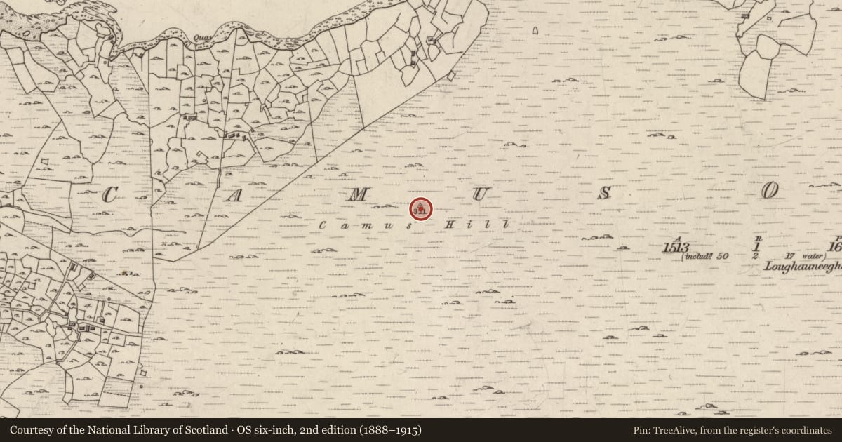 Ordnance Survey six-inch map, 2nd edition (1888–1915) covering the location of Watchtower, Camas Uachtair, County Galway, with a pin at the register's coordinates