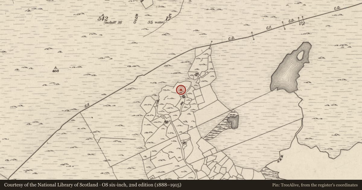 Ordnance Survey six-inch map, 2nd edition (1888–1915) covering the location of Field boundary, Glinn Chatha, County Galway, with a pin at the register's coordinates